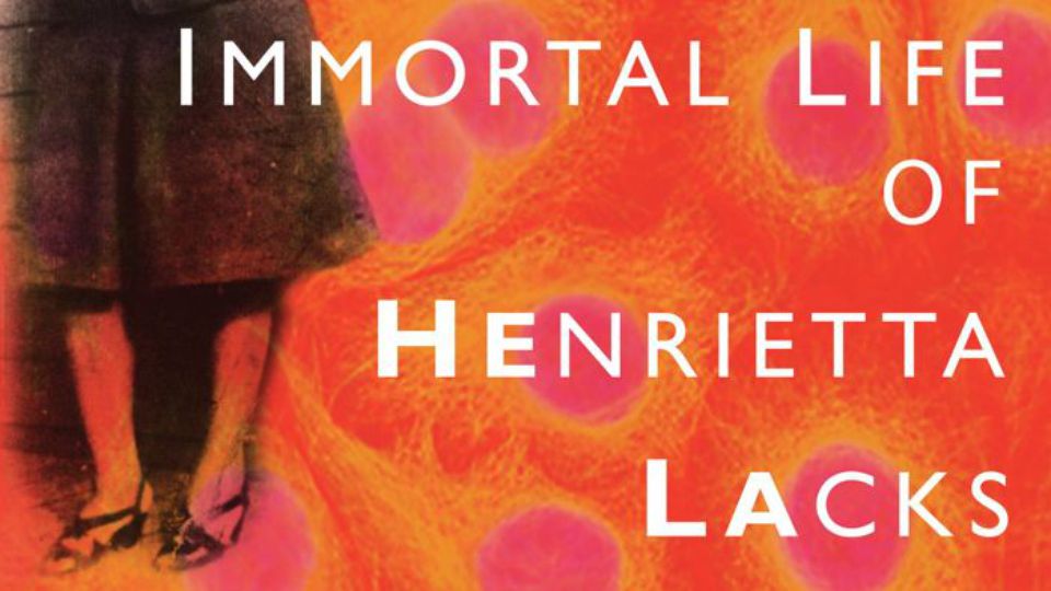 Henrietta Book Cover