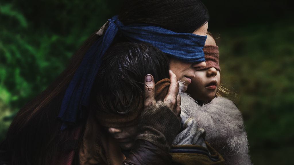 Bird Box Cover
