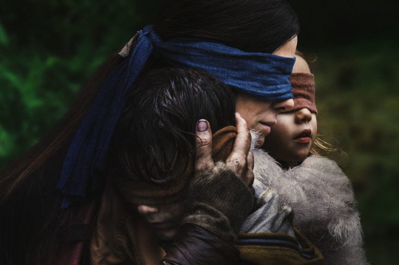 Bird Box Cover