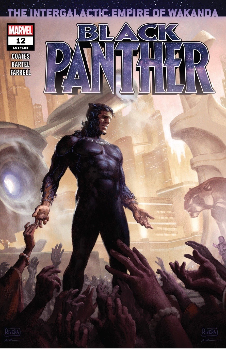 Black Panther 12 Cover